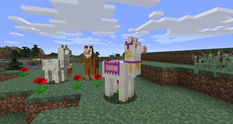 llama minecraft